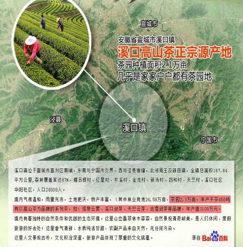 马鞍山溪口兰香溪口高山茶价格合肥溪口高山绿茶