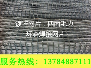 鄭州裝飾建筑電焊網片價格 山西溫室苗床鋼絲建筑電焊網片怎么樣