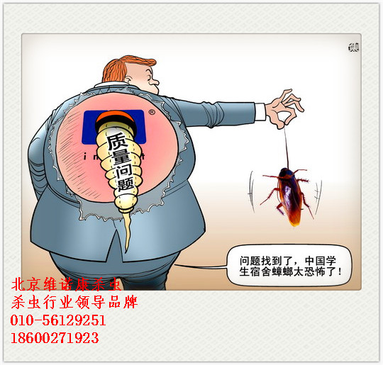 北京滅蟲公司服務(wù)和收費如何原始圖片2