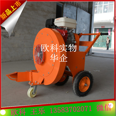 大風量道路吹風機??吹灰機 吹雪機原始圖片3