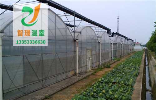 溫室大棚 光伏溫室大棚造價
