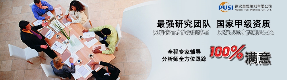 普思策劃項目申請書,國內{yx}的項目申請書,銷量{zh0}