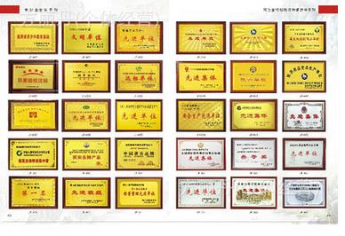 廠家熱銷銅牌獎牌 制作純銅獎牌加盟獎牌單位