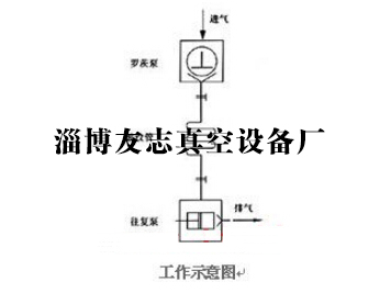 淄博SK水環真空泵批發價格|供應【友志】SK水環真空泵廠家