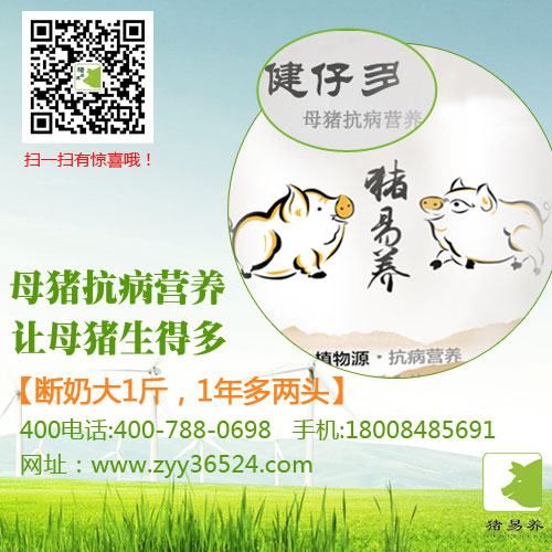 母豬不發情，別擔心！有植物源抗病營養豬易養健仔多！