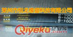 15N.25N.15J.25J三角帶V帶聯(lián)組帶悅龍
