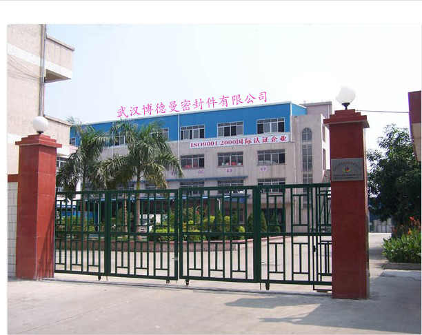 BDM518集裝式機械密封