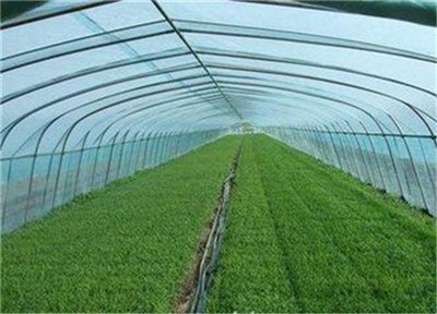 山東進口EVA農膜_為您推薦有品質的進口EVA農膜