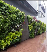 【推薦】杭州植物墻|杭州商場垂直綠化植物墻|杭州道路園林綠化