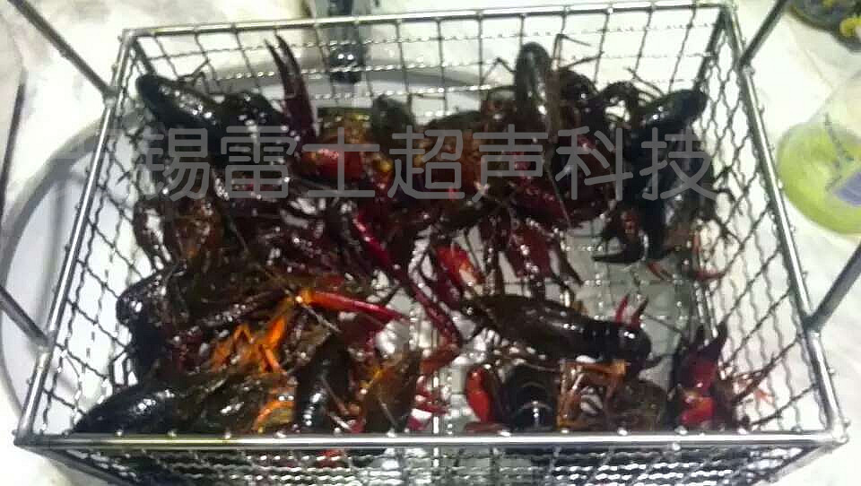 小龍蝦綠色環(huán)保清洗就找無錫雷士超聲