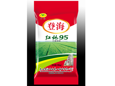 高純度！山東玉米種子基地銷售
