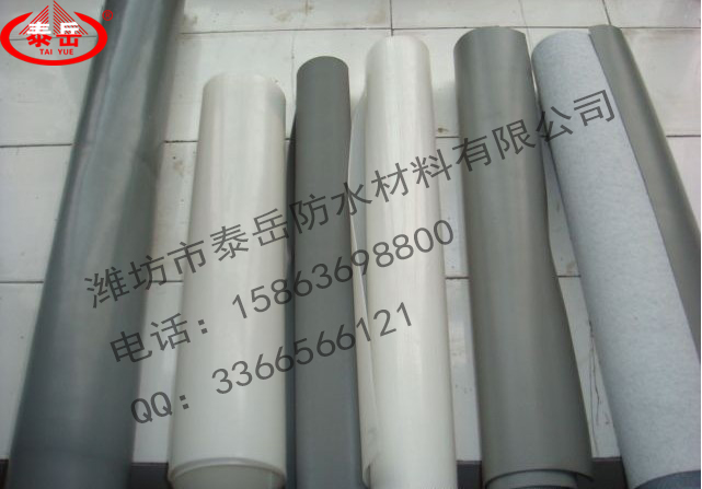 【山東聚乙烯滌綸高分子防水卷材】濰坊聚乙烯滌綸高分子防水卷材熱賣—泰岳防水材料