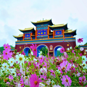 张掖马蹄寺旅游包车 张掖大佛寺旅游 张掖旅游包车师傅