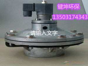 淹沒式電磁脈沖閥型號齊全