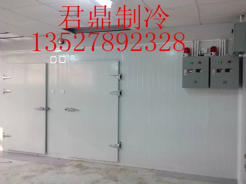 速凍庫價格/安裝速凍冷庫/保鮮冷藏冷凍庫