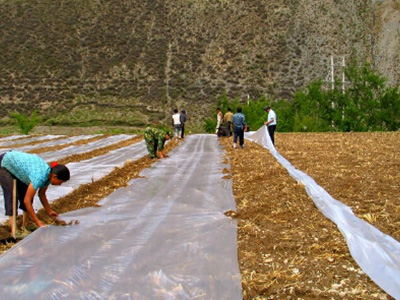 蘭州農用地膜金土地zg，西北除草地膜