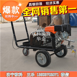 汽油路面標(biāo)線機(jī) 汽油馬路劃線機(jī) 駕校專用汽油劃線機(jī)原始圖片2