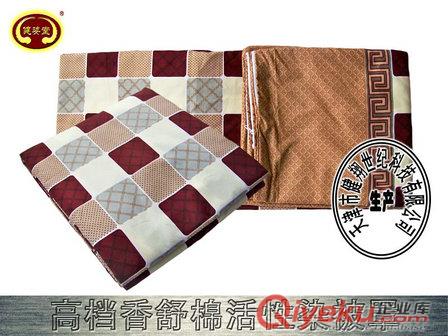托瑪琳磁療被填充遠(yuǎn)紅外負(fù)離子棉絮sjxy的保健被原始圖片2