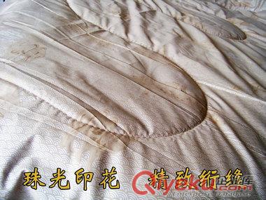 駝絨被珠光印花設計內嵌60枚磁石的優質磁療駝絨被原始圖片2