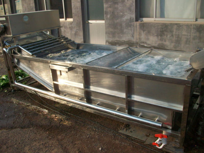 廠家直銷芹菜清洗機 高壓噴淋清洗機 質(zhì)量好價格低原始圖片3