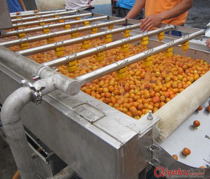 廠家直銷氣泡清洗機 長茄氣泡清洗機 不銹鋼氣泡清洗機原始圖片3