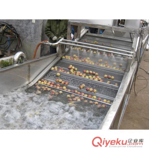供應(yīng)黃瓜清洗機(jī) 氣泡噴淋清洗機(jī) 廠家直銷價(jià)格低質(zhì)量好