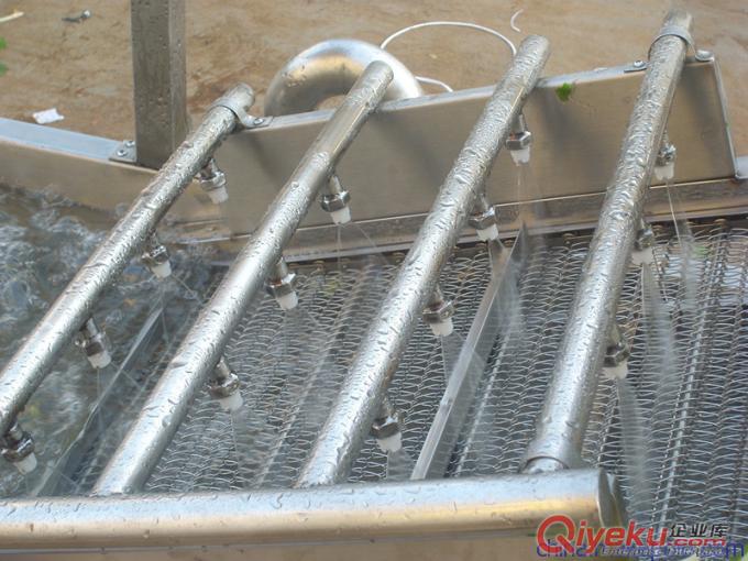加工定制氣泡清洗機(jī) 蕓豆清洗機(jī) 高壓噴淋清洗機(jī)