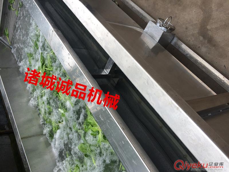 熱銷全自動氣泡清洗機 采用氣泡翻浪清洗 誠品廠家直銷原始圖片3