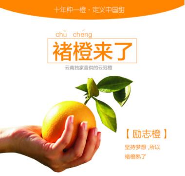 成都專業(yè)微信運營哪家好