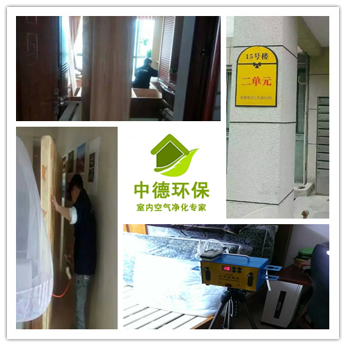 宜都市除甲醛公司哪家好