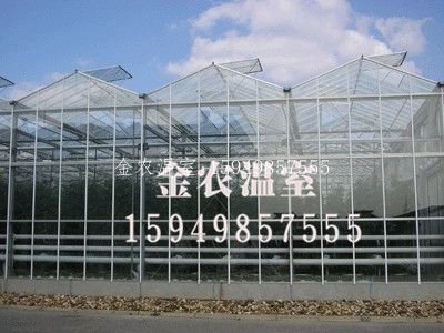 《金农温室，放心品牌》智能连栋温室建设.新型智能温室大棚.连栋日光温室大棚.连栋薄膜温室建设