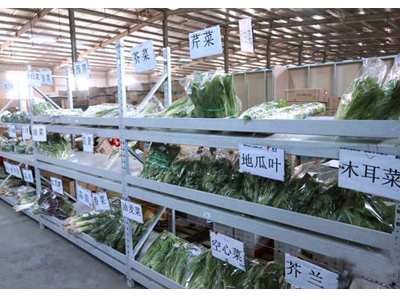 蘭州冷鏈配送  蘭州種植基地，蘭州冷藏加工  蘭州家庭蔬菜套餐