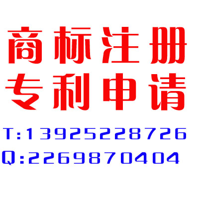 中国知识产权公司/中国知识产权顾问