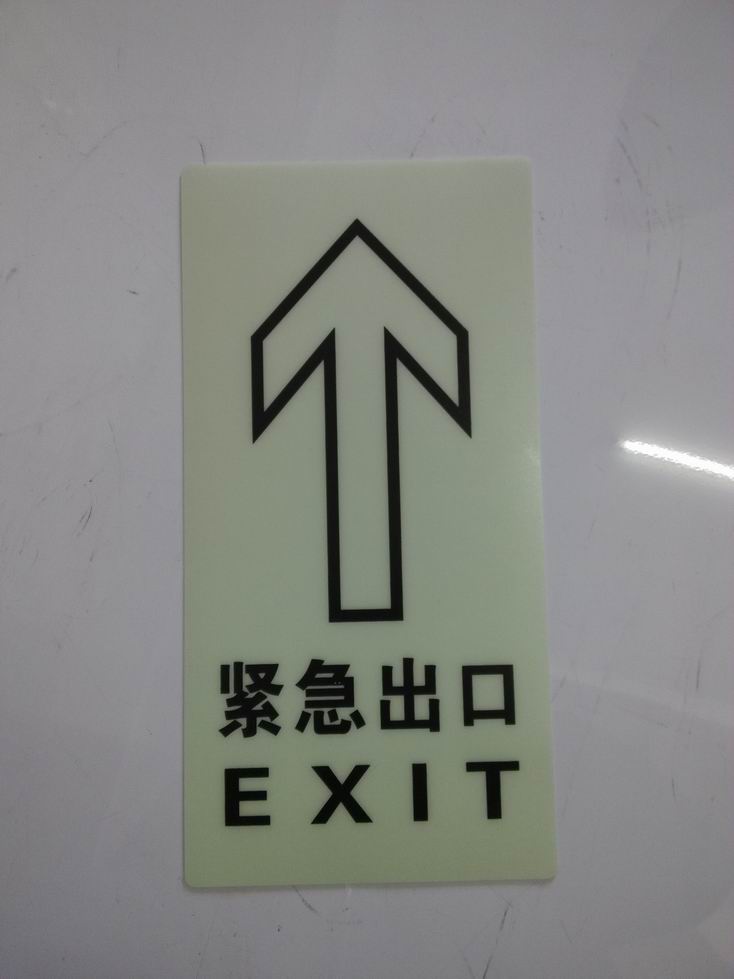 廠家供應消防警示標志牌 向左向右拐彎夜光指示牌 發(fā)光逃生地貼