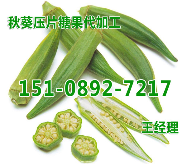 天津秋葵壓片糖果OEM加工/黃秋葵來料提取灌裝代工?生產(chǎn)廠家