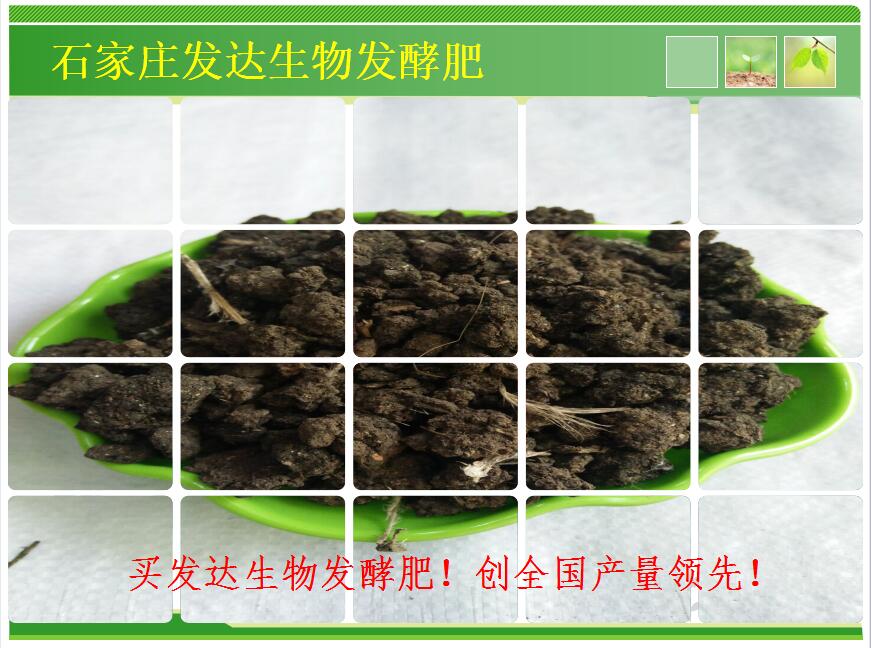 河北廠家批發果樹專用肥