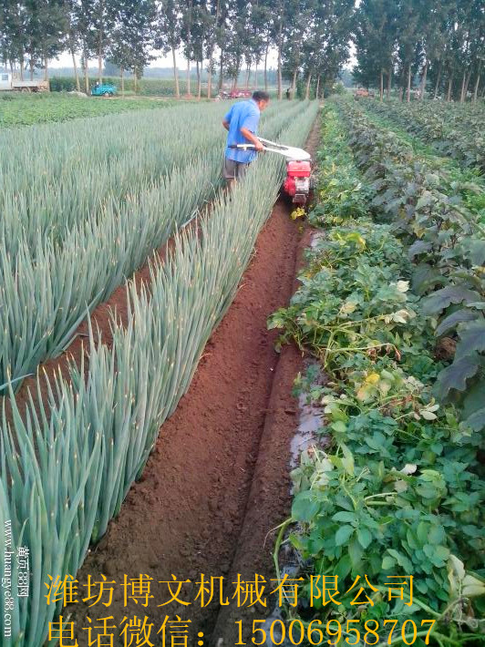 供應山東大蔥開溝培土機 廠家直供 國家三包