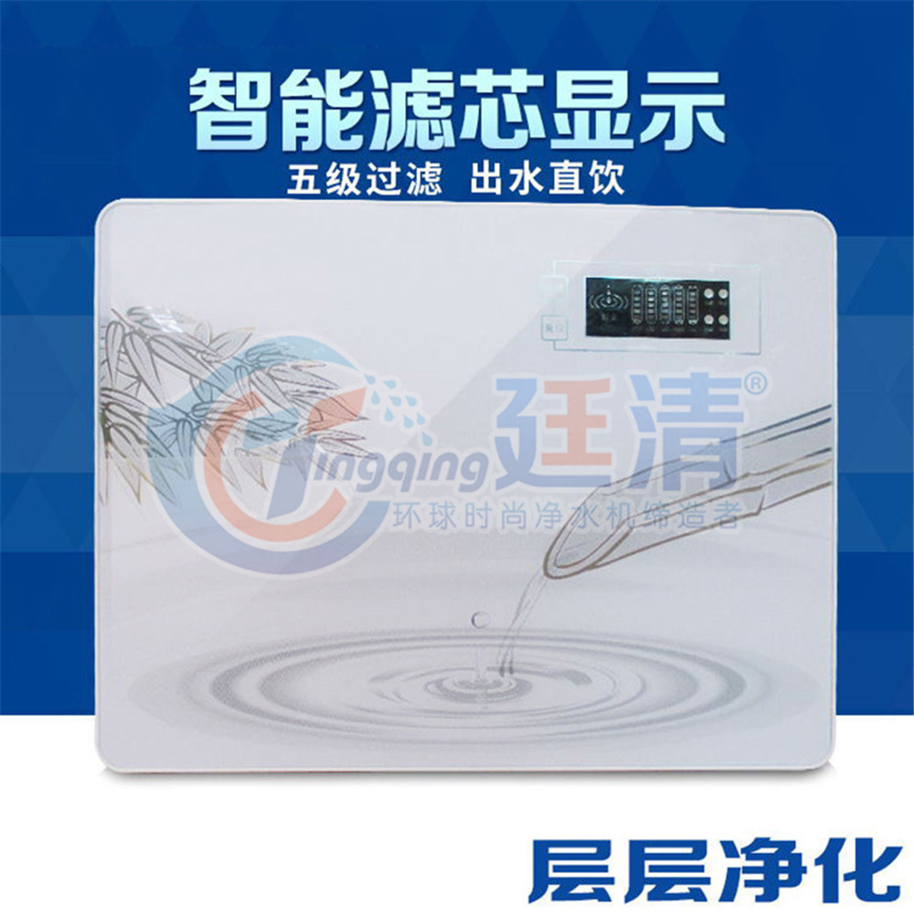 廷清廠(chǎng)家直銷(xiāo)家用智能反滲透純水機(jī)直飲機(jī)凈水機(jī)