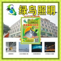 綠鳥照明鷹潭36V廠家批發LED燈泡