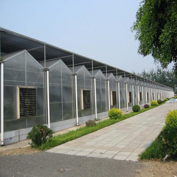 湖南简易连体大棚搭建_湖南简易连体大棚价格