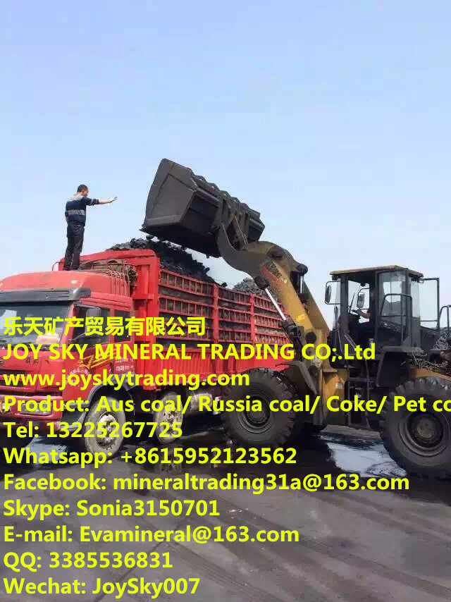 Anthracite coal supplier/ North Korean coal trader