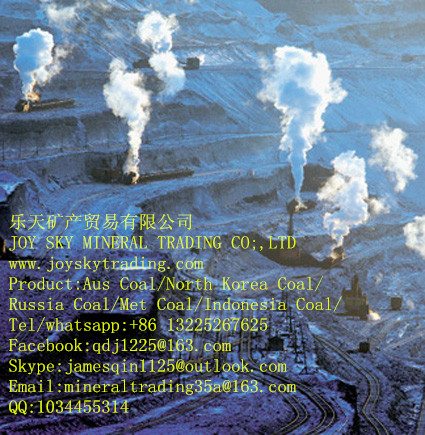 Steam coalRussia coal/Australia coal/coal supplier