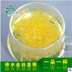 江西三品电子商务是专业的金丝皇菊批发商，金丝皇菊生产厂家