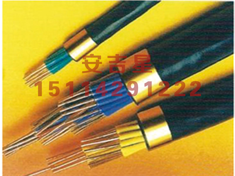 防腐型鋁絞線上哪買好 阜新編織控制電纜