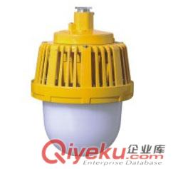 正輝DGS48/127L(A)礦用隔爆型LED巷道燈 原始圖片3