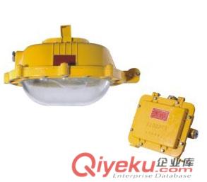 正輝BYE6120-J70Y45MIN內場防爆應急泛光燈 