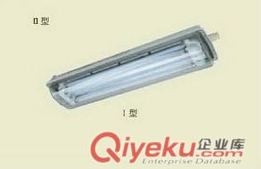 正輝BCX6226粉塵防爆防腐雙管熒光燈 原始圖片2