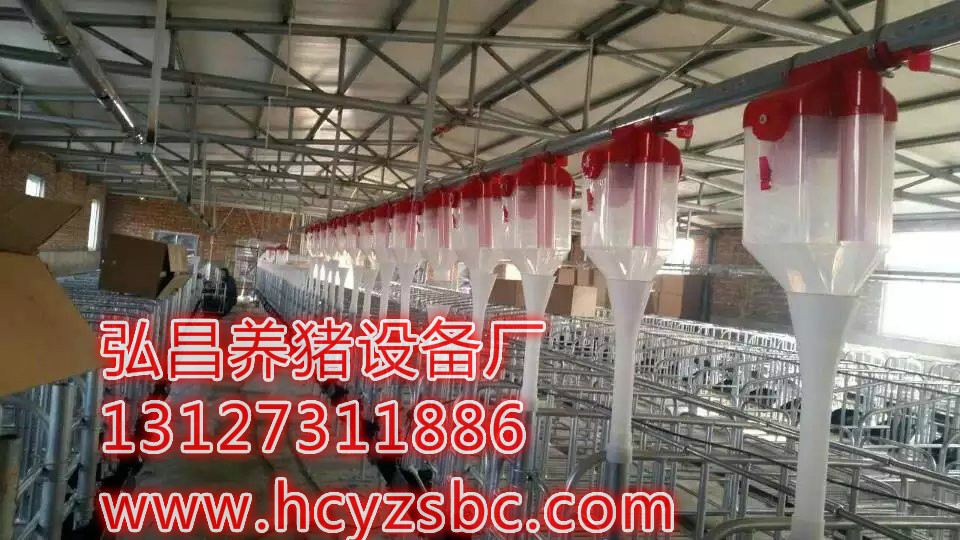 供應母豬用自動料線河北泊頭弘昌設計安裝育肥豬欄大欄自動喂料設備