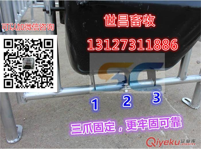 供應豬籠母豬妊娠定位欄 河北弘昌養豬設備自產自銷熱鍍鋅母豬高床定位欄原始圖片3