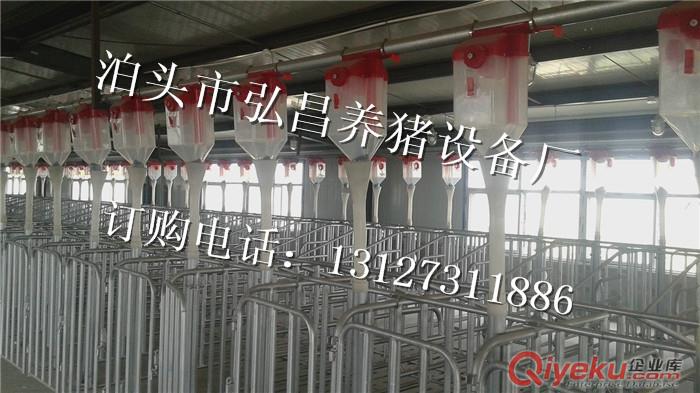 供應自動化喂料線 河北弘昌廠家設計安裝豬場自動采食器 河北養豬自動化控制器